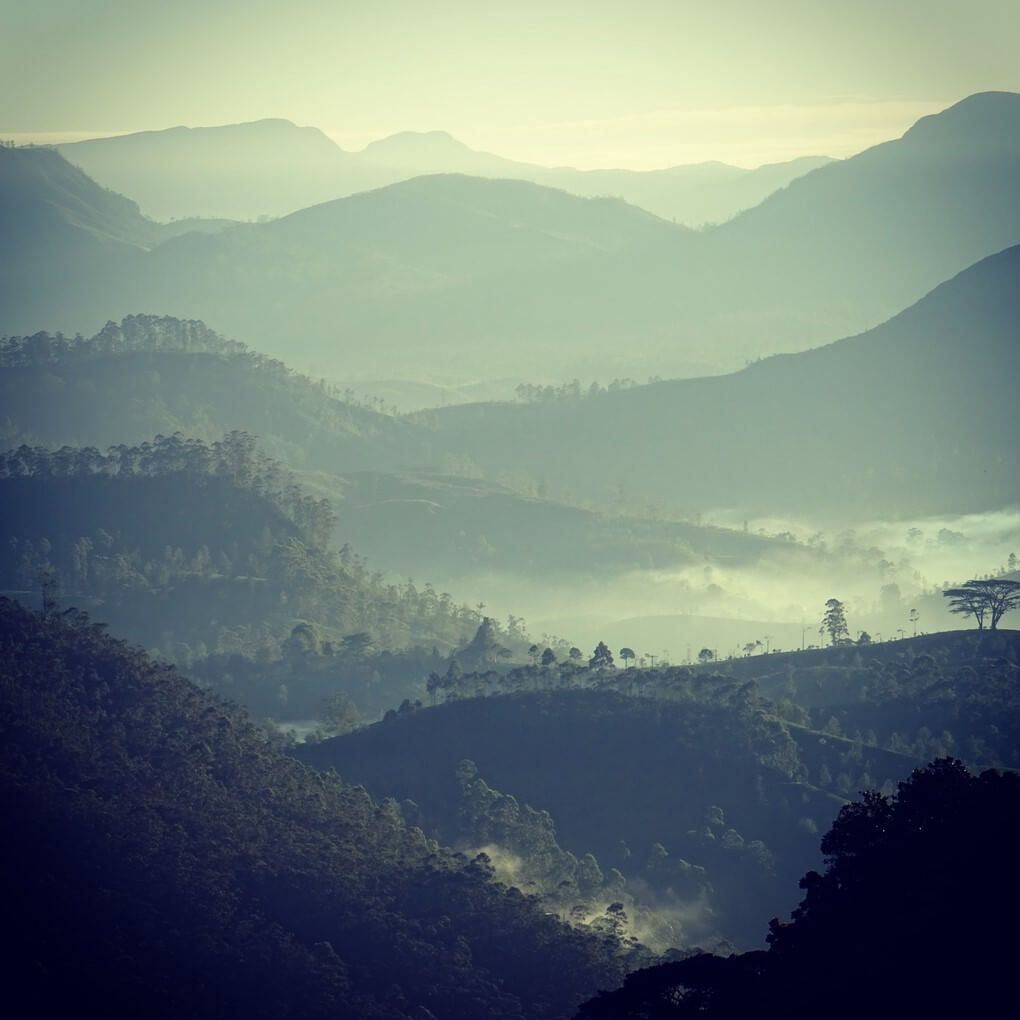 View from Adam's Peak at dawn