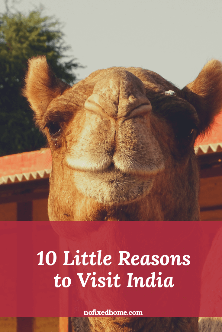 10 little reasons to visit India