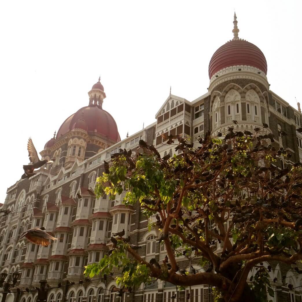 Taj Hotel Mumbai with pigeons