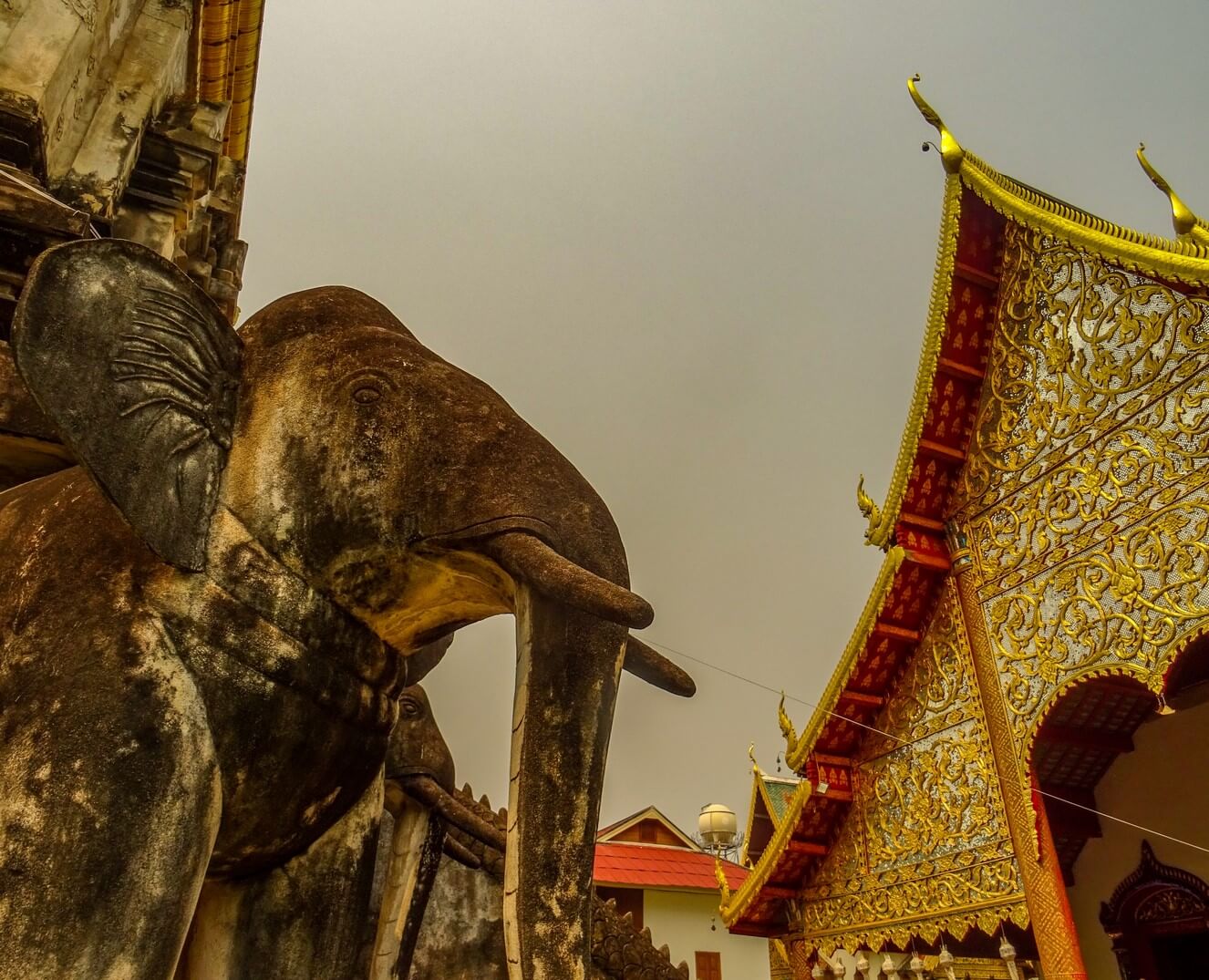 Wat Chiang Man elephant