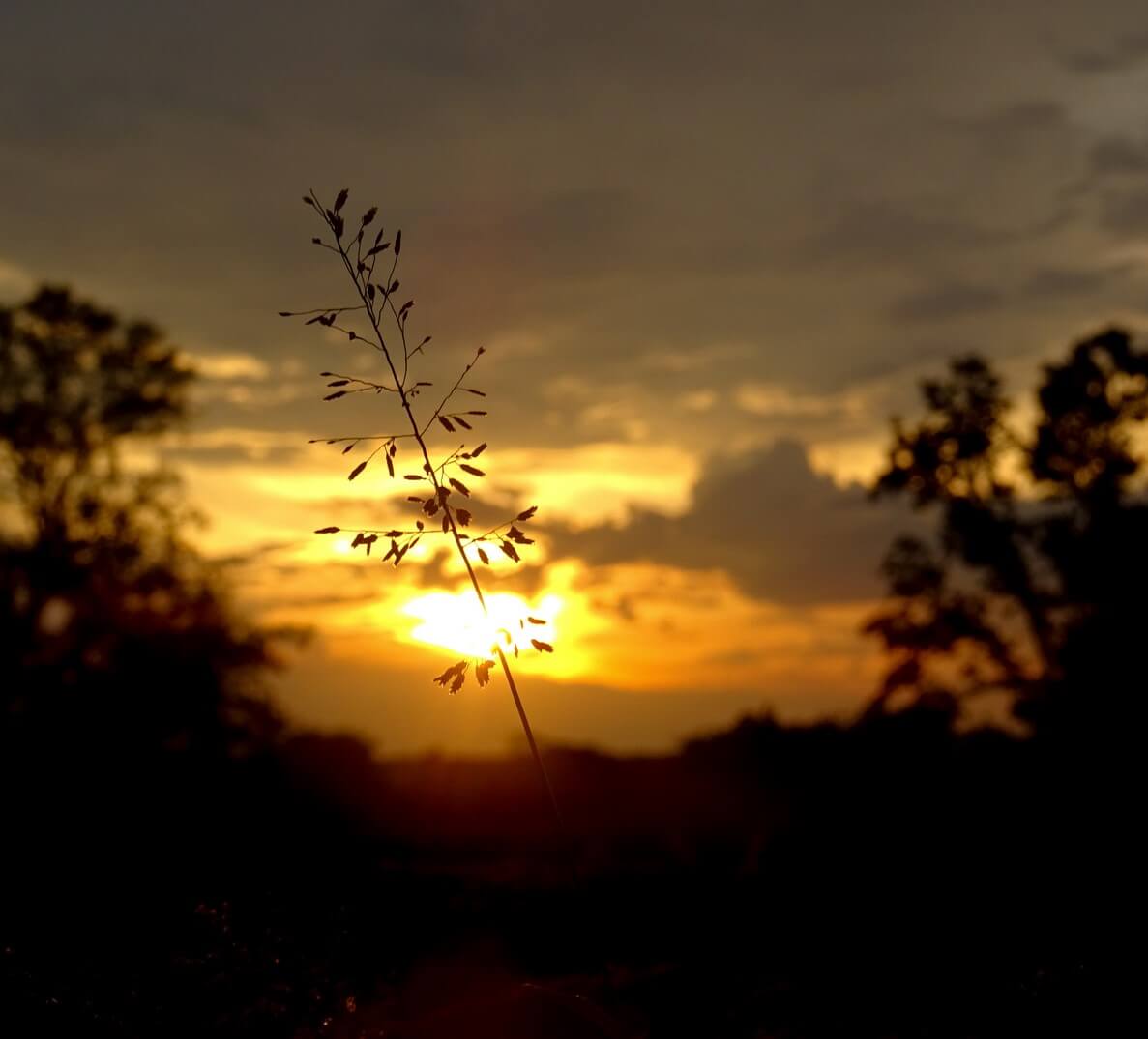 Sunset from Phnom Bakheng, Angkor Wat