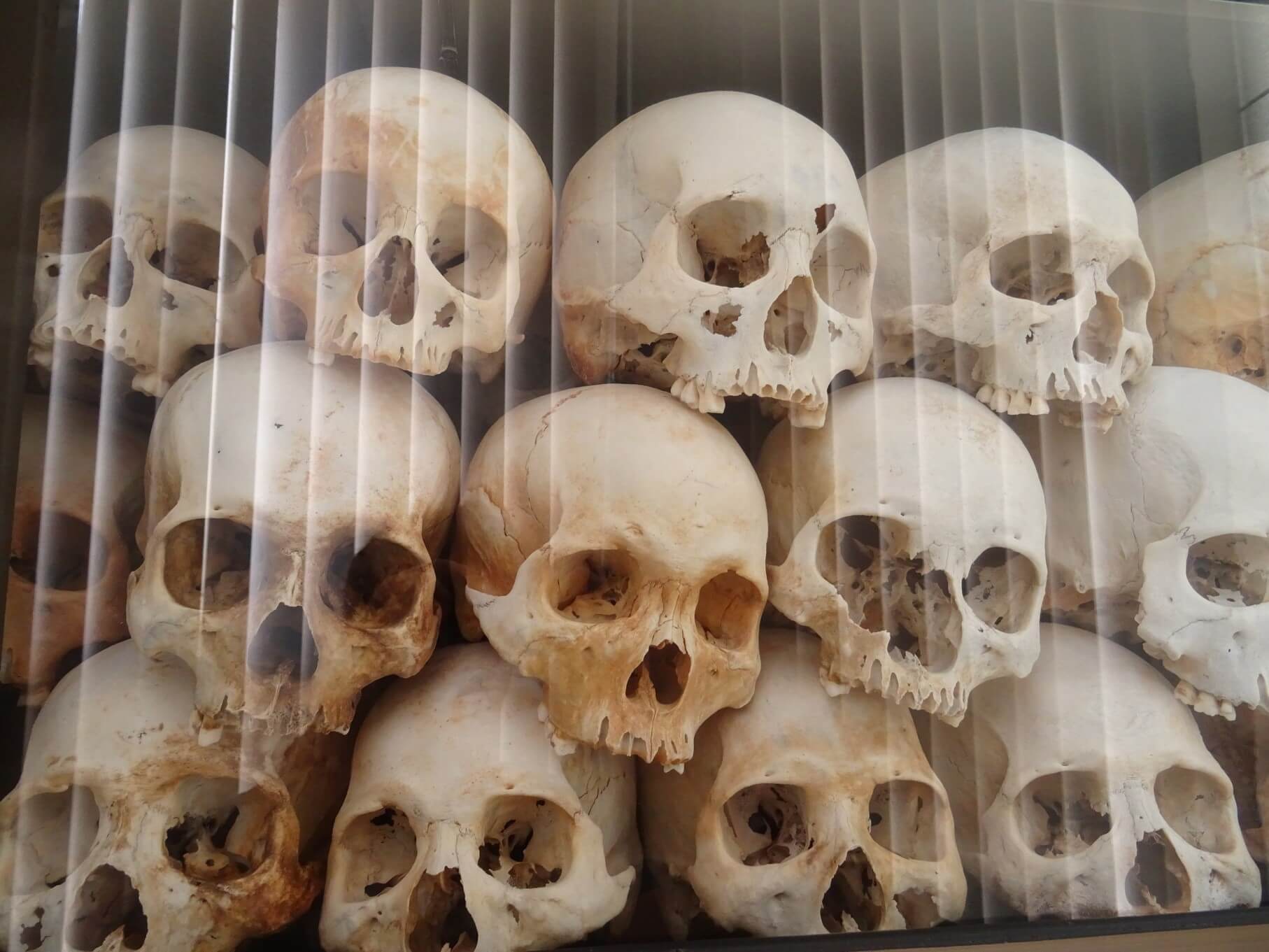 Skulls on display at the Killing Fields