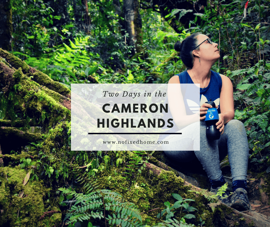 two days in the Cameron Highlands