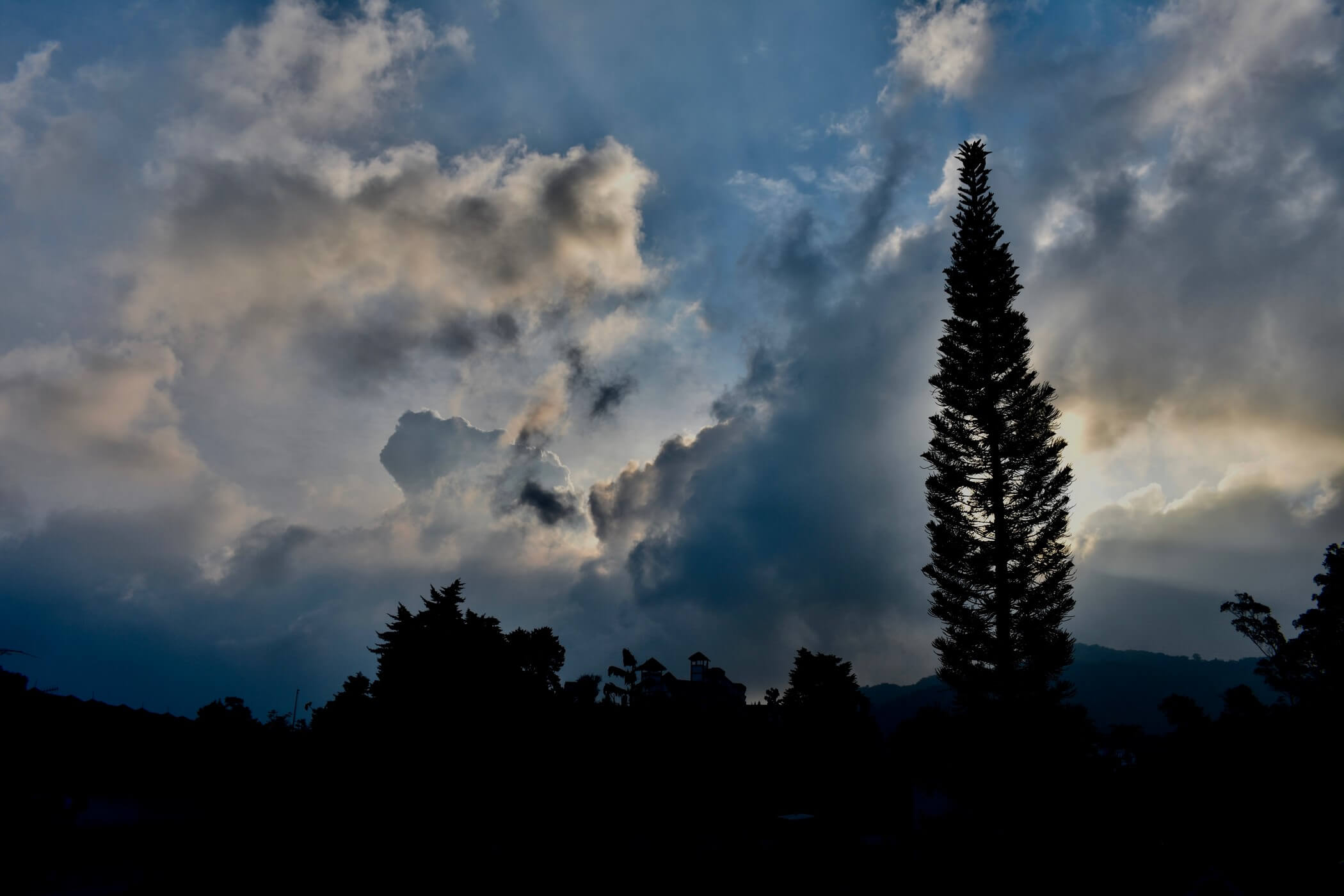 Two days in the Cameron Highlands